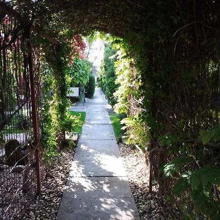 Nora Vendeghaz شقة