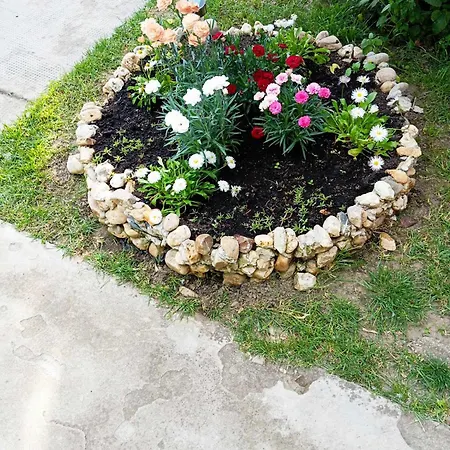 Nora Vendeghaz شقة