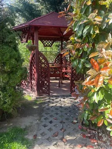 Daire Nora Vendeghaz Abádszalók